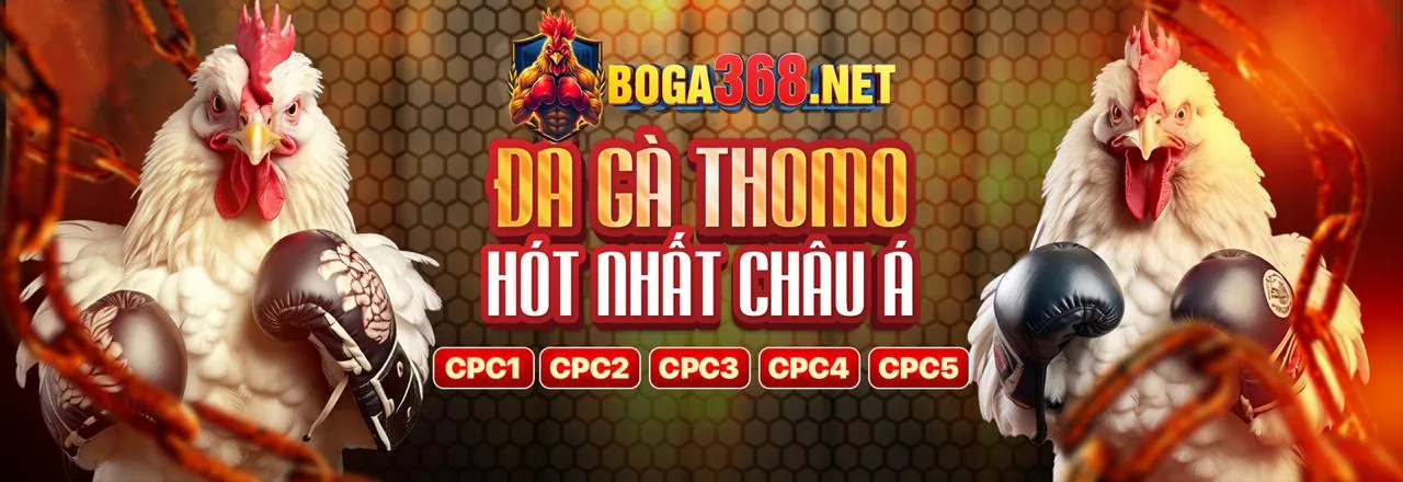 Đá gà trực tuyến 8kbe code